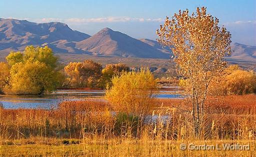 Bosque del Apache_72714.jpg - Photographed in the Bosque del Apache National Wildlife Refuge near San Antonio, New Mexico USA. 